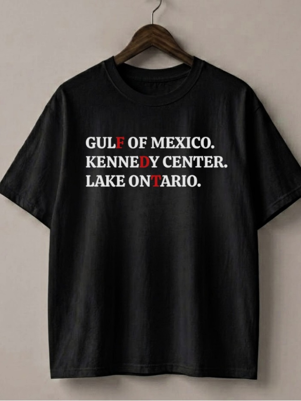 Gulf Of Mexico Kennedy Center Lake Ontario Funny Protest Shirt | Gildan 5000